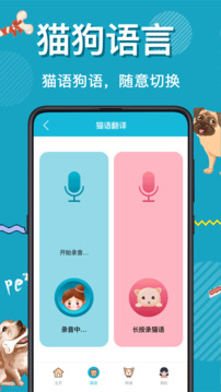 1732863322720091.jpg 110_85ff3af8461096e6d55075af121a9439_234x360.jpg