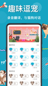 1732863326264598.jpg 110_a8aaa84f76bd1013f46d570937f66c59_234x360.jpg