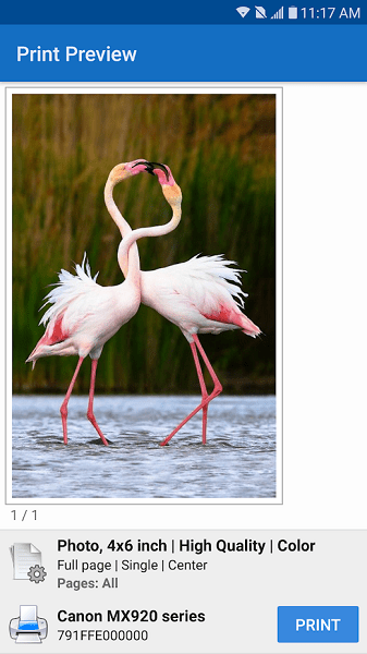 1734420024452451.png 2021103010493986080.png