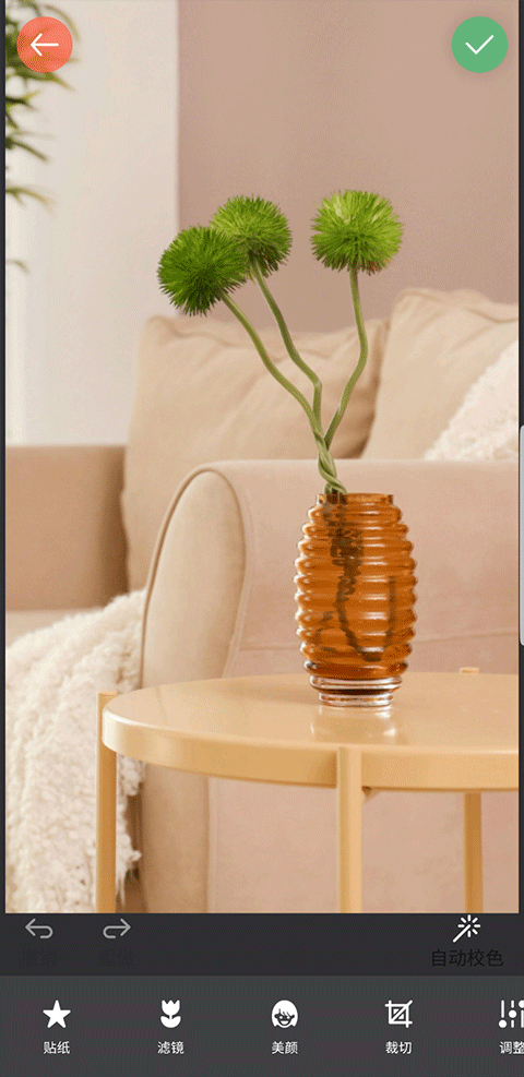 1736233325830821.png d86e6cc466585cd56668950d6efb2a43.png