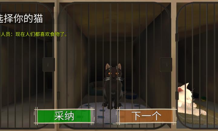 1736908072880714.jpg 204587_bupq.jpg